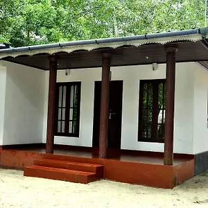 Marari Secret Yoga Mararikulam